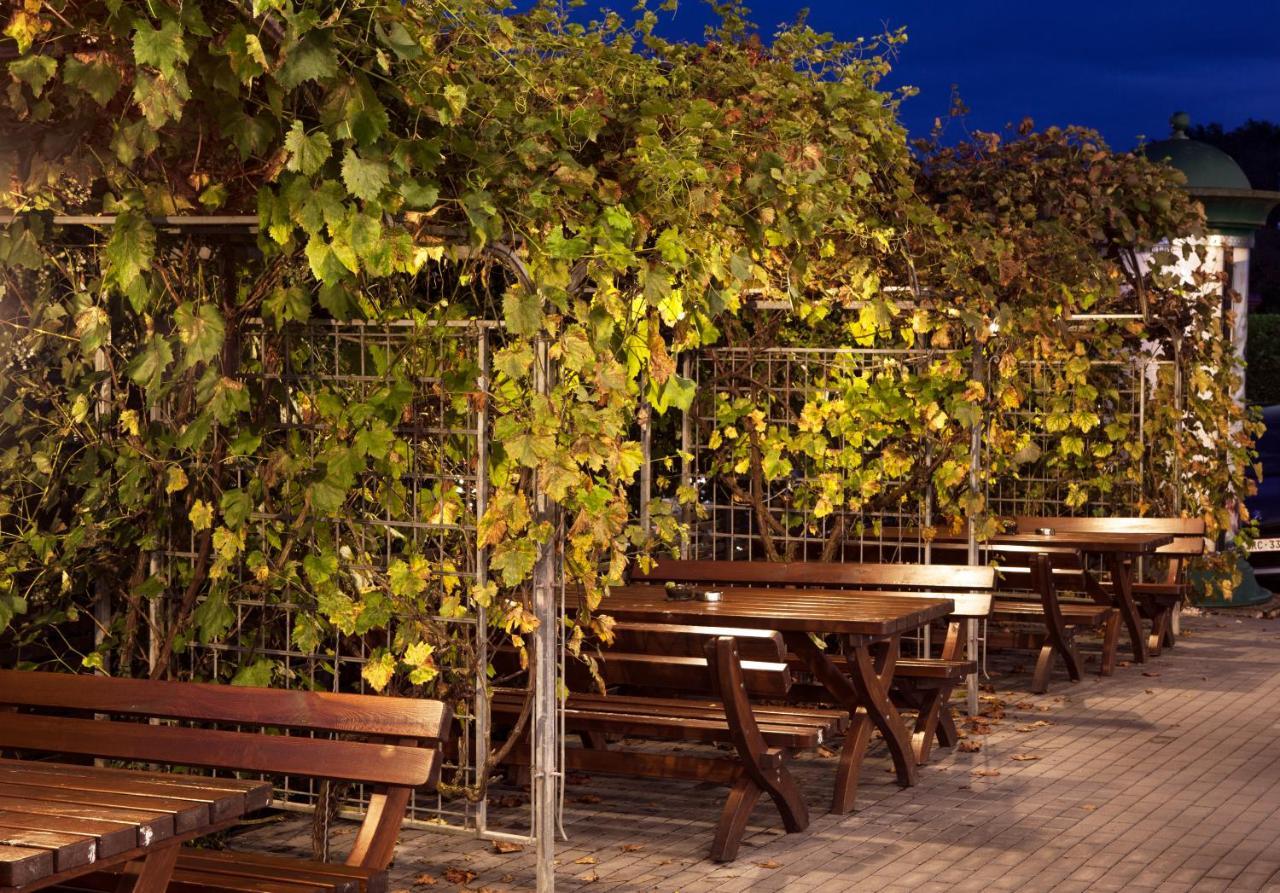 קוכם Moselromantik Hotel Am Panoramabogen מראה חיצוני תמונה